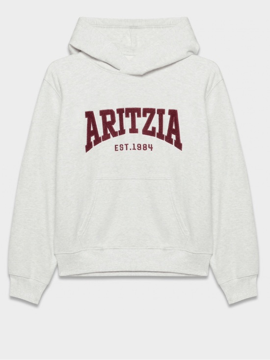 Aritzia Tops - Aritzia Cozy Sweatfleece Perfect Hoodie